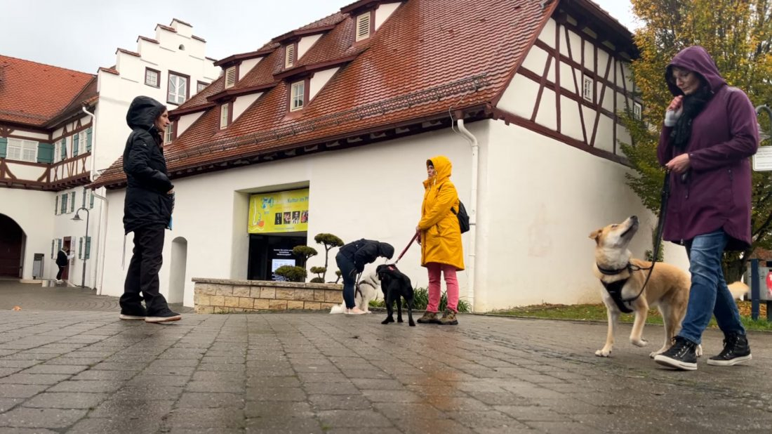 Mittelstufe - Alltagstraining