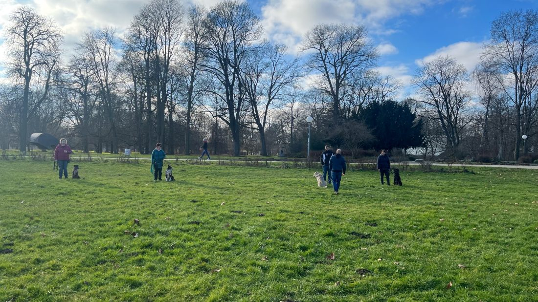 Abitur - Alltagstraining 2 Führerscheinvorbereitung 2.0