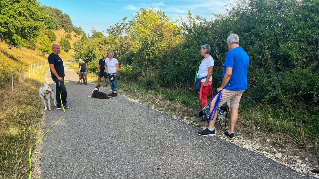 Leckerlis - Sonntagsspaziergang