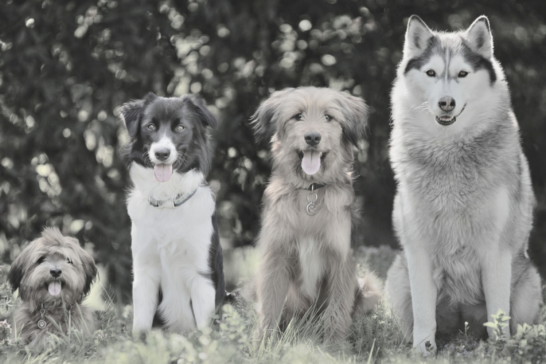 Mittelstufe - Alltagstraining Führerscheinvorbereitung