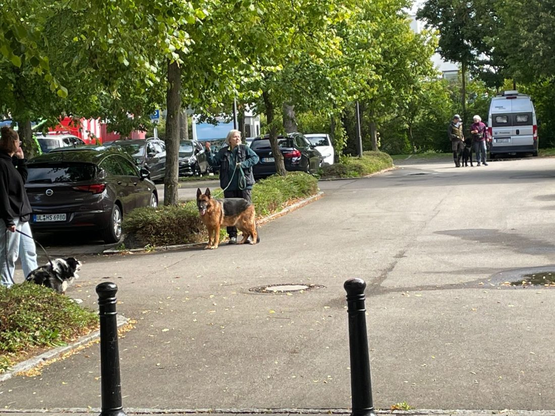 Specials - Begegnungstraining